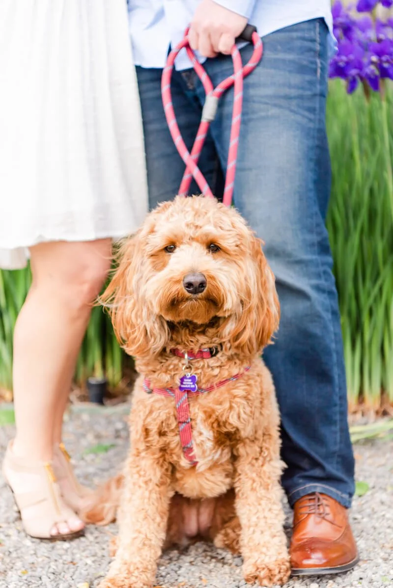 Biltmore Estate Engagement - Asheville, NC