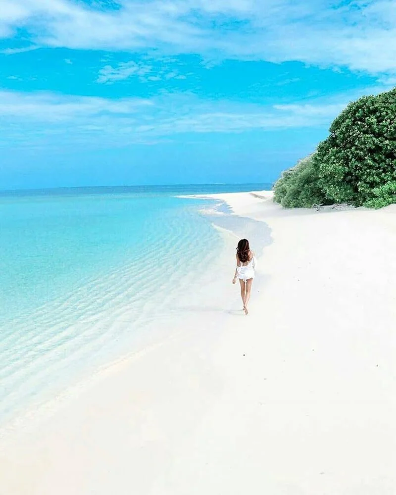 Natural Wonders Tours