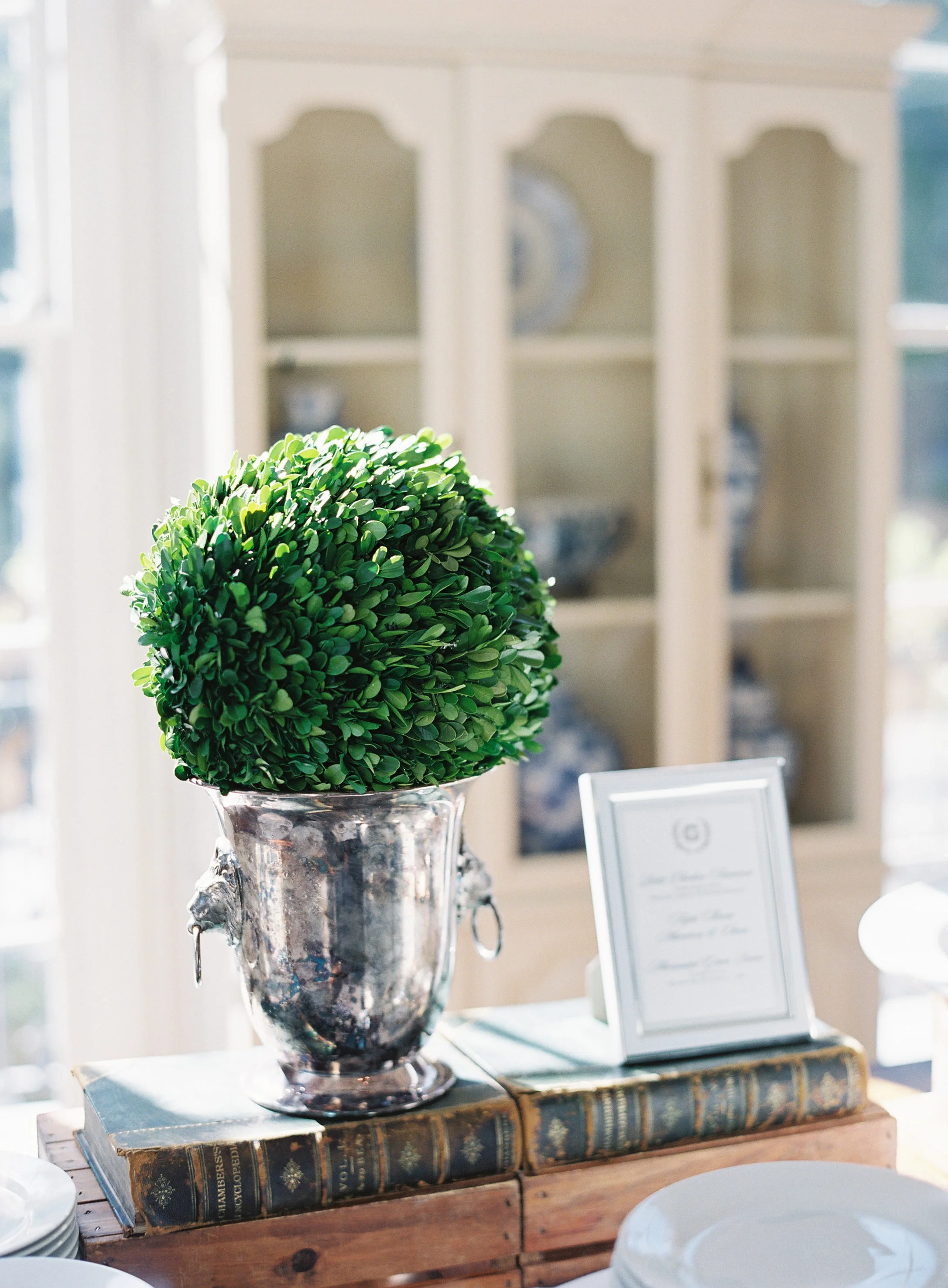 pamela-morgan-events-charleston-wedding-planner 2213.jpg