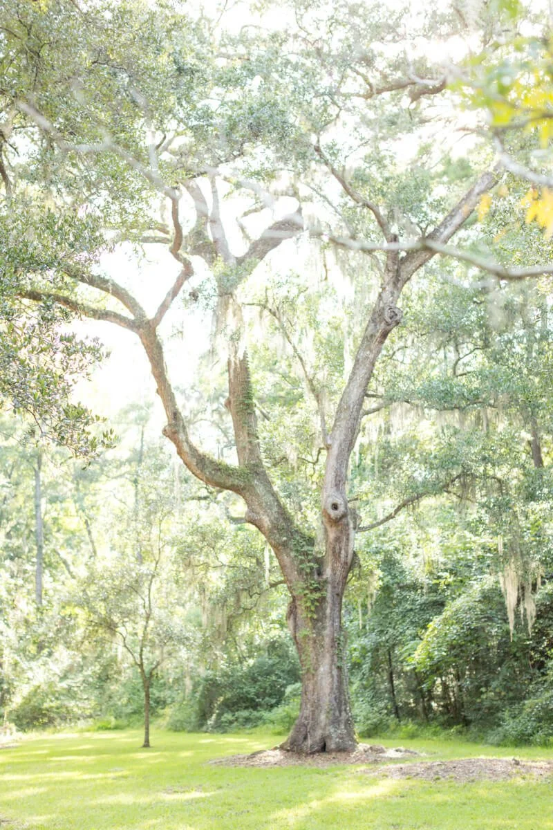 Yemassee SC Engagement