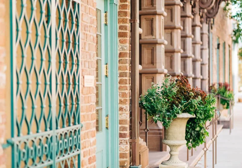 Whimsical Charleston Engagement