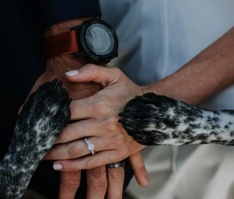 Real Cornelius NC Wedding Shoot