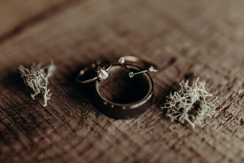 Brevard NC Mountain Wedding