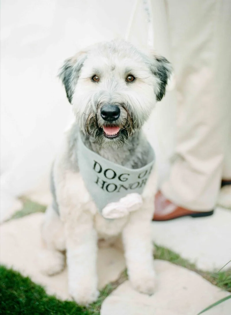 Destination Wedding At Wrightsville Manor