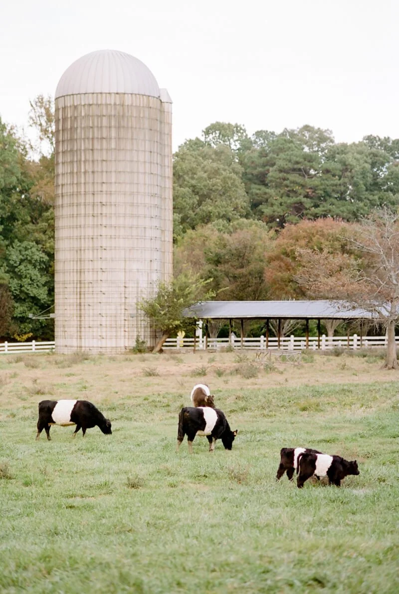 Outdoor Fearrington Gardens Wedding