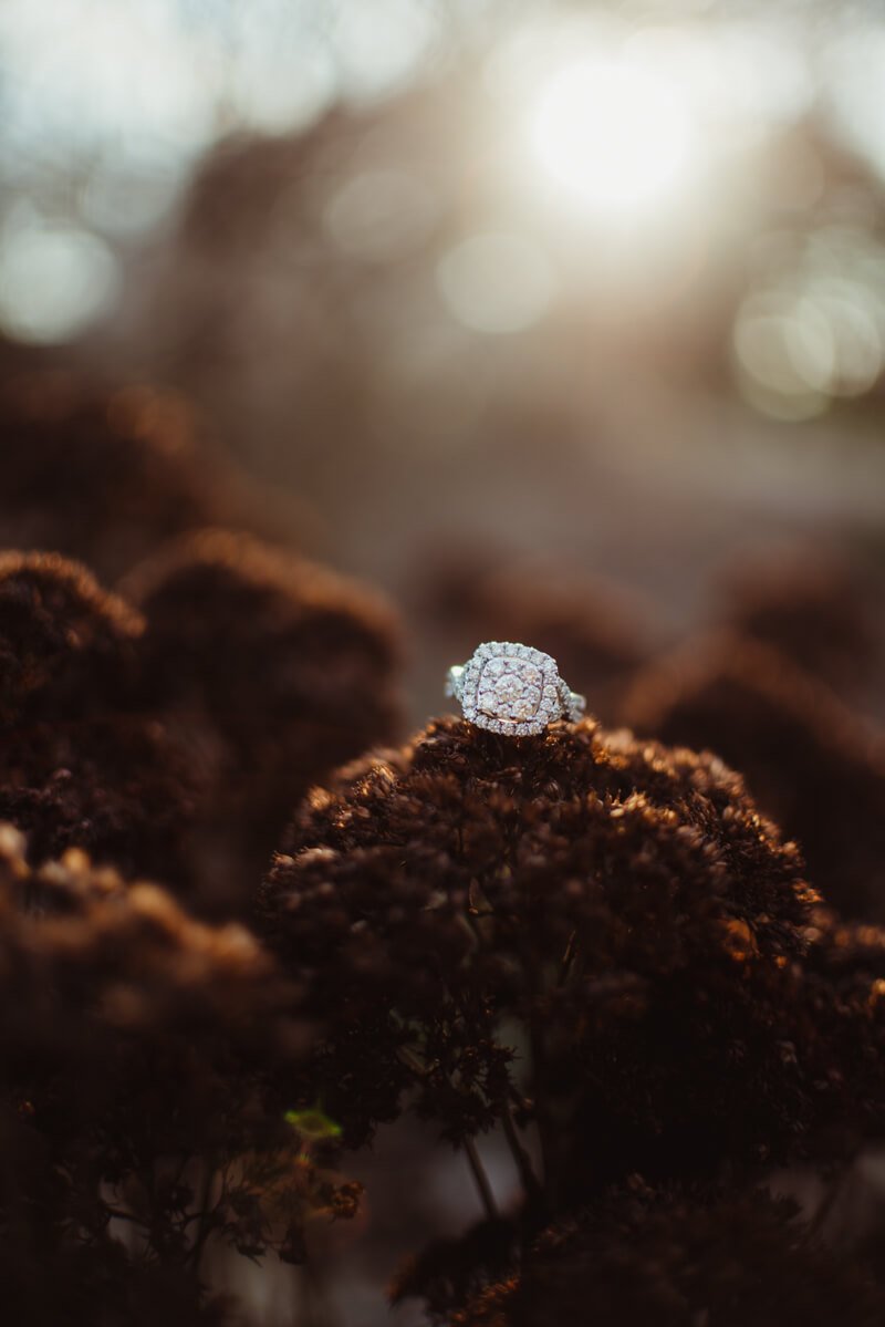 Clemmons NC Engagement Photos