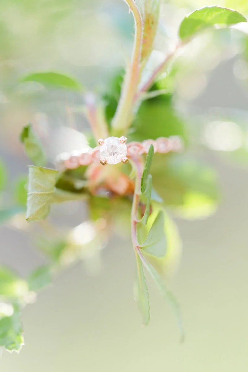Toms Creek Falls Engagement - Asheville, NC