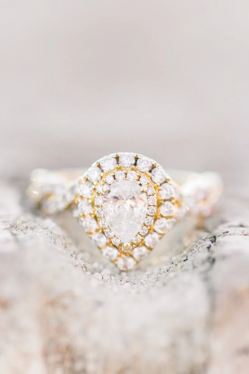 NC Museum of Art Engagement - Raleigh, NC