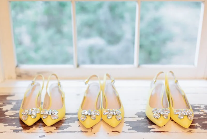 Yellow Charleston Wedding - Magnolia Plantation & Gardens