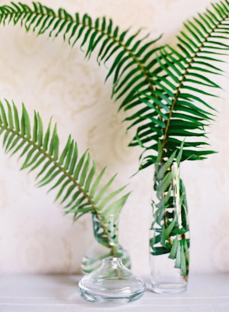 Palm Leaves at Your Raleigh Wedding