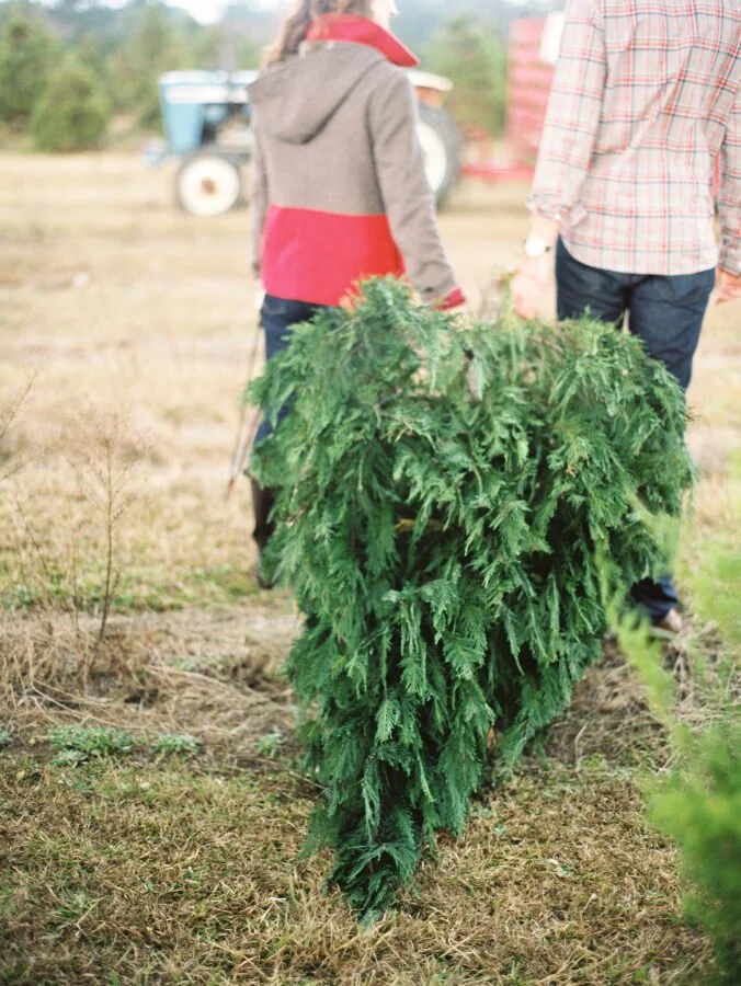 Christmas Engagement