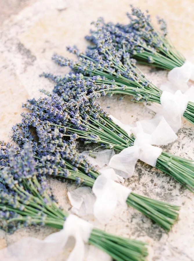 Lavender Flowers - Raleigh Weddings