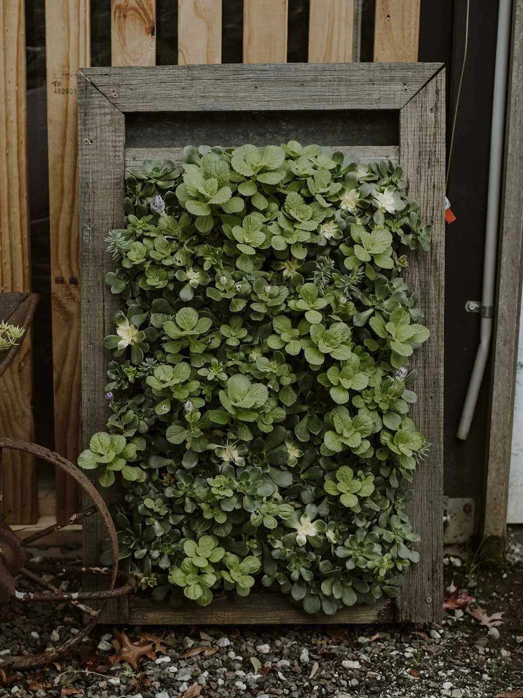 Al's Upcycled Artwork 19