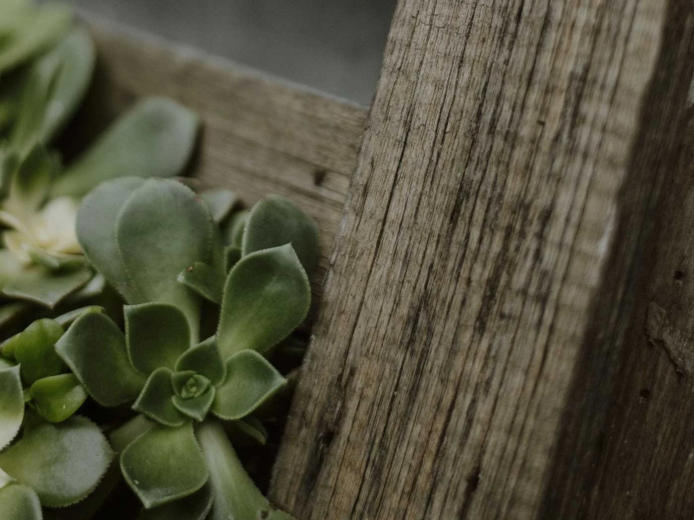 Al's Upcycled Artwork 20