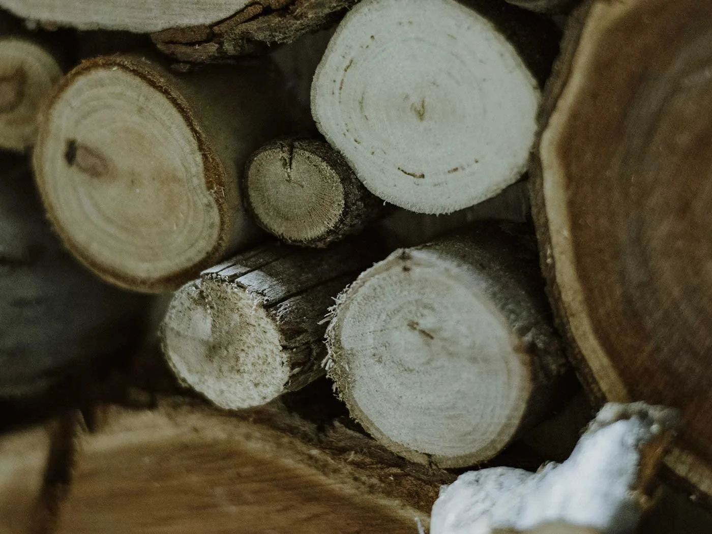 Al's Upcycled Artwork 24