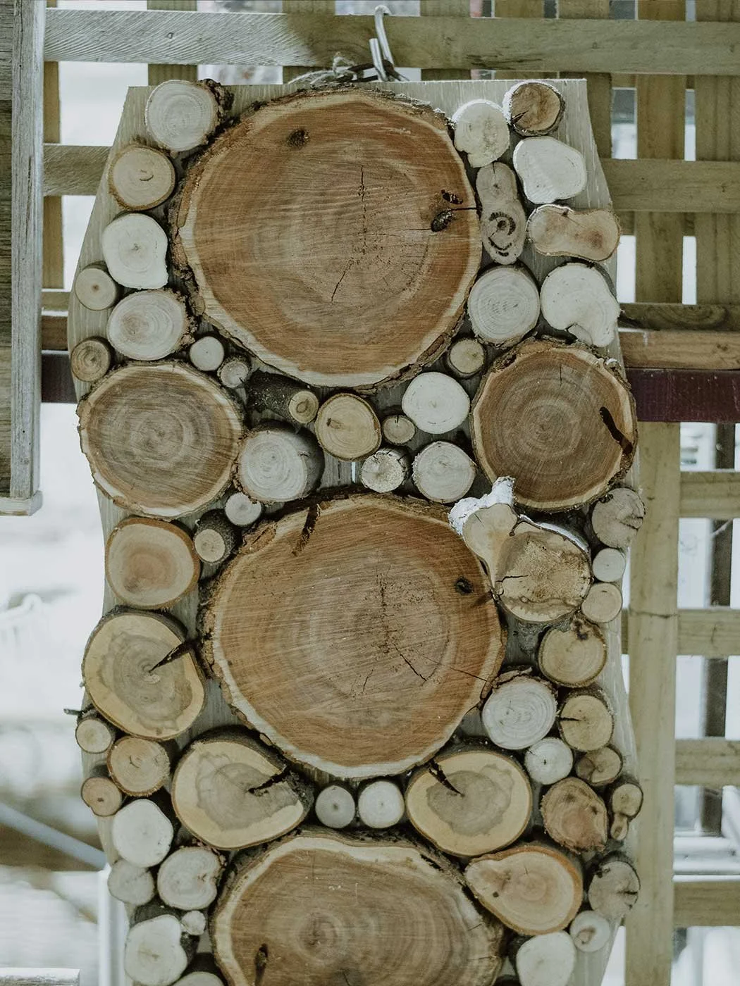 Al's Upcycled Artwork 23