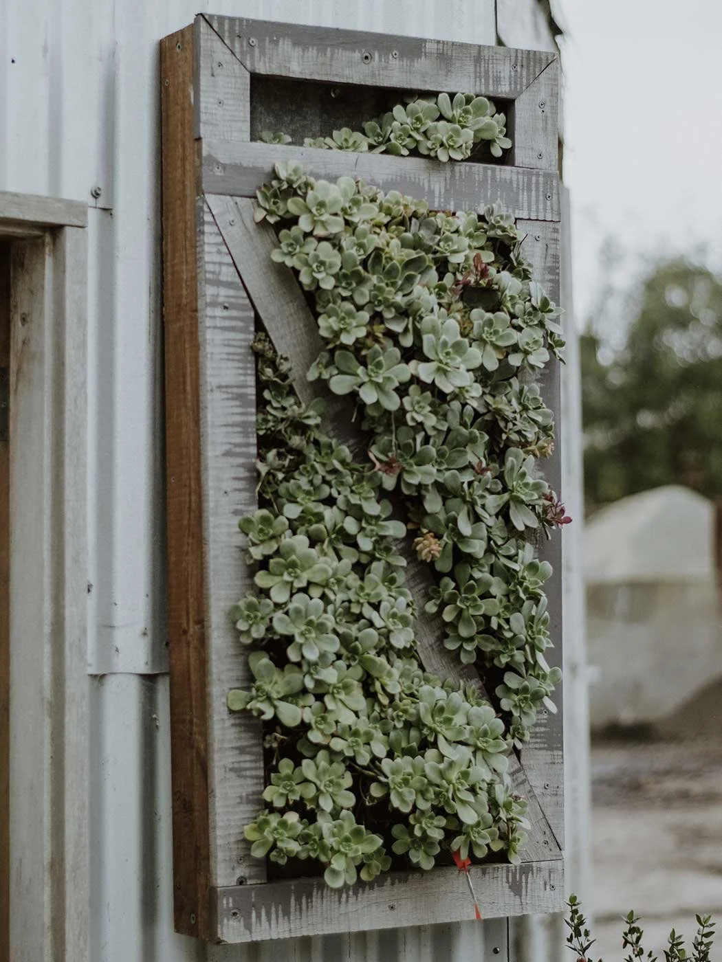 Al's Upcycled Artwork 17