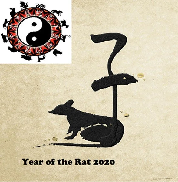 year of the rat jordans
