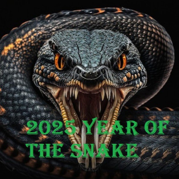 The Snake is regarded as wise, but inwardly naive, prudent, easily scandalised and possessive. The Snake also symbolizes wisdom, associated with intelligence, intuition, and insight. The Snake's ability to shed skin represents renewal, transformation