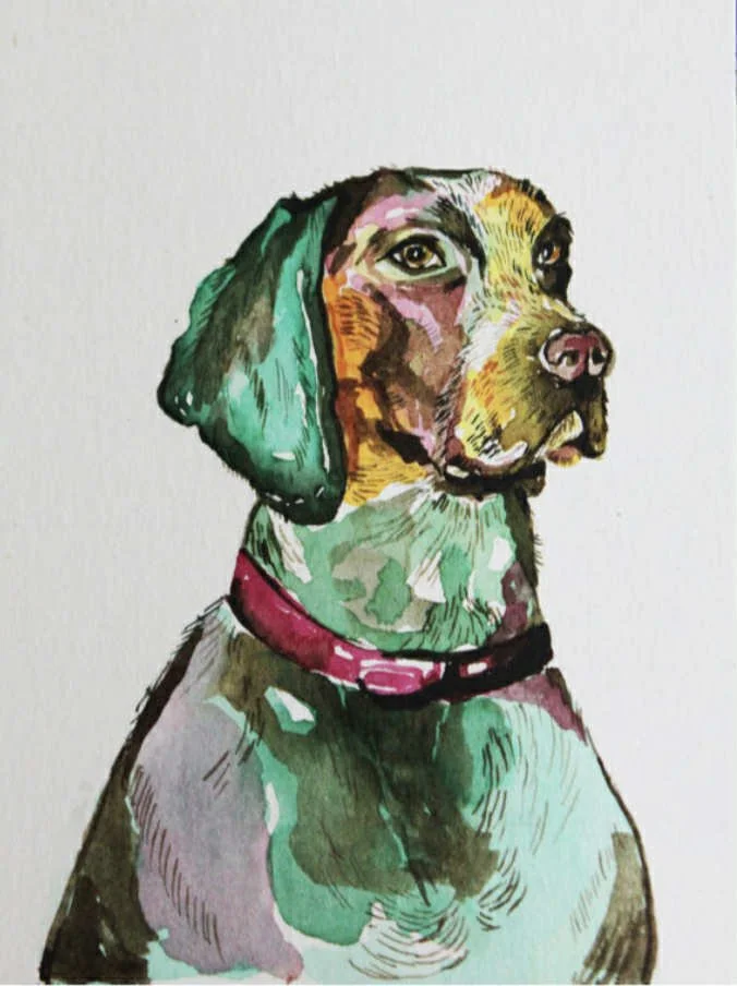 Watercolor painting of a dog with a green ear, wearing a pink collar, looking to the right.