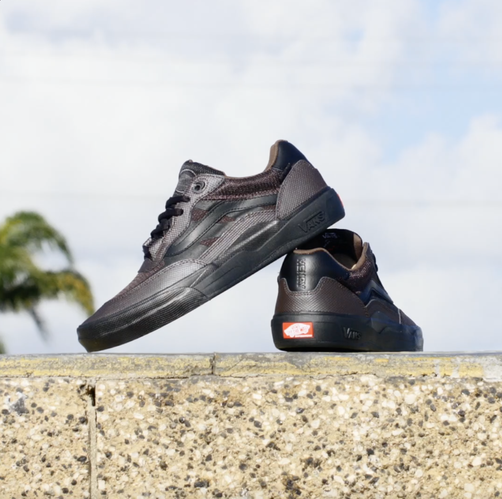 VANS_WAYVEE_JH_PHOTO_1.png