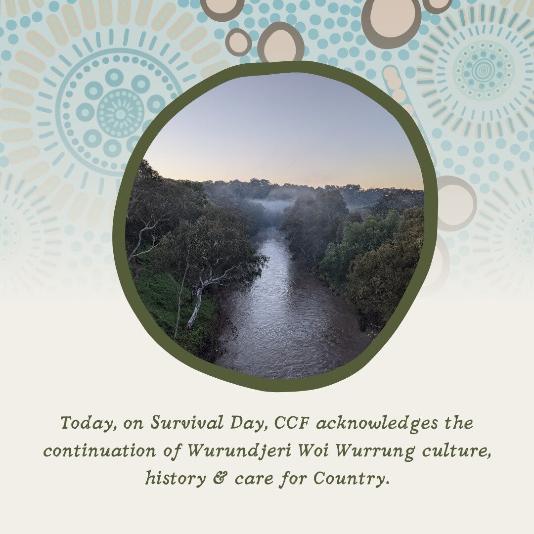 Collingwood Children&rsquo;s Farm acknowledges the Wurundjeri Woi Wurrung people as the Traditional Custodians of this land, sky and water. We pay our respects to Elders past and present across the Kulin nation and recognise the thousands of years of