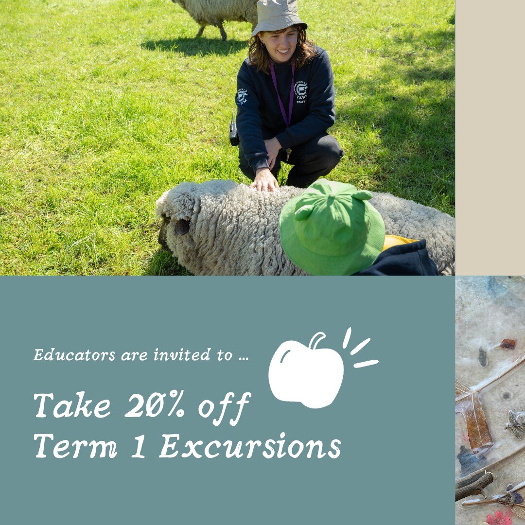 Welcome back, educators! We can't wait to learn together in 2024.
Enter 20_OFF_TERM_1 at checkout. Valid until 9 Feb.

Follow the School Excursions link in bio 🌈

[ID: Farmer Emma is kneeling and gently petting a sheep in a paddock at Collingwood Ch
