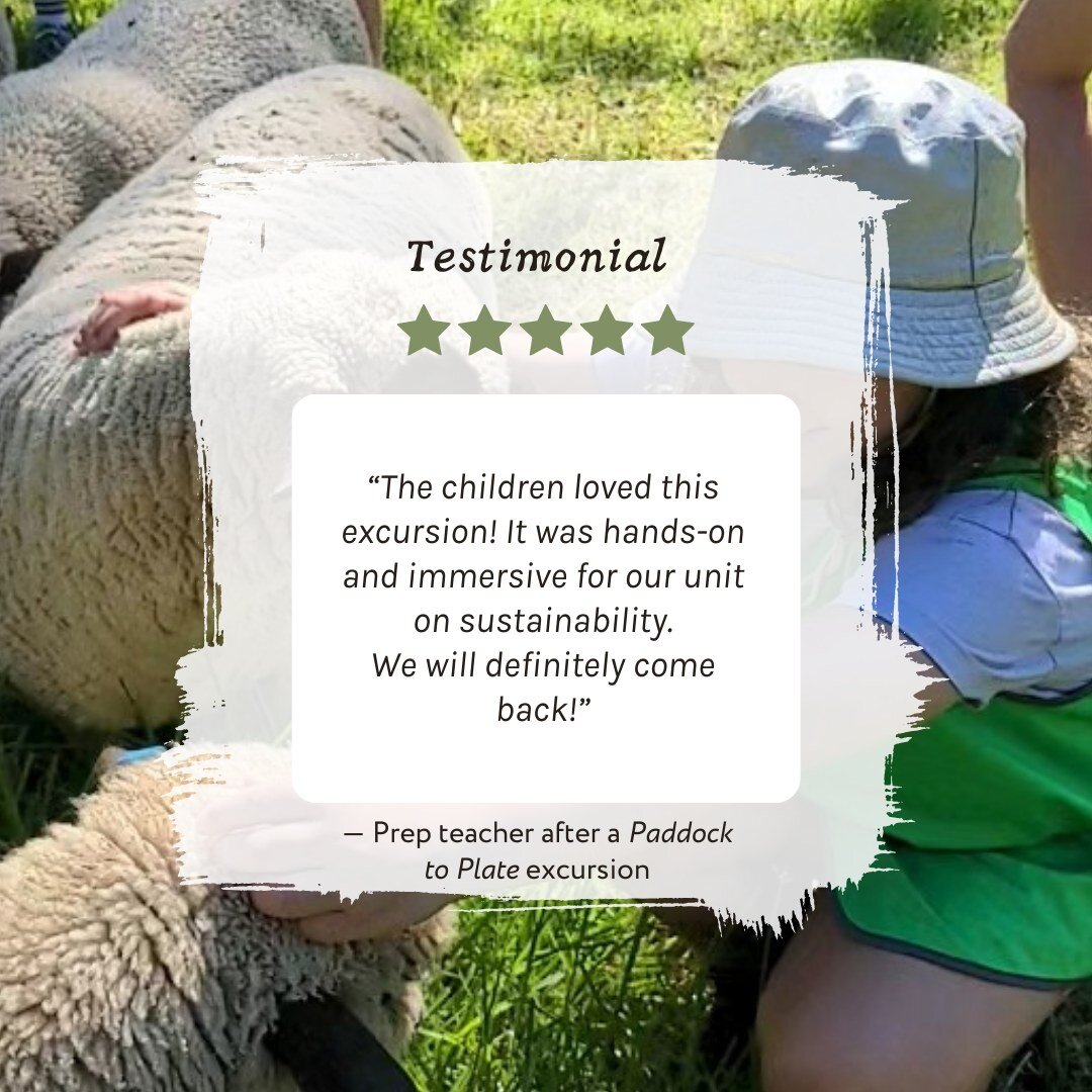 All of our excursions are linked to the Victorian Curriculum.
Explore our educational themes available to your students via the link in bio 🐑

[ID: A testimonial post from a teacher after they took their students to Collingwood Children's Farm on a 