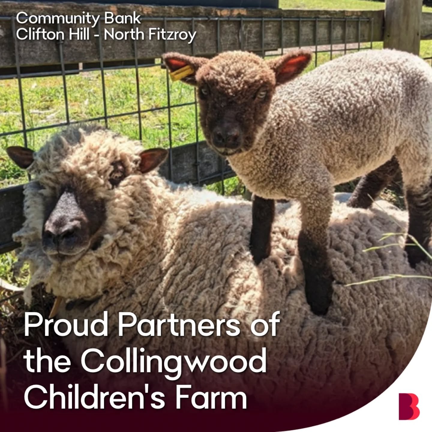 As a not for profit charity, Collingwood Children's Farm relies heavily on its community and corporate relationships and sponsorships. We are particularly proud of our long standing relationship with  #CommunityBankCliftonHillNorthFitroy and #Partner
