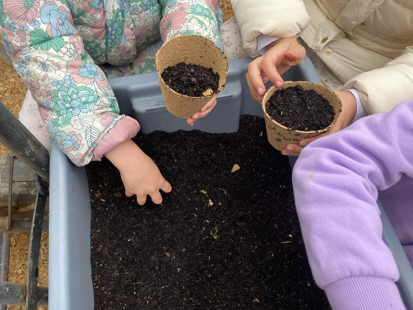 We&rsquo;ve been loving our seed sowing activity at the new nursery garden table! Running every day these school holidays come down, learn all about seeds, and take home your very own to watch grow! Also don&rsquo;t miss our &ldquo;Guess the Seed&rdq