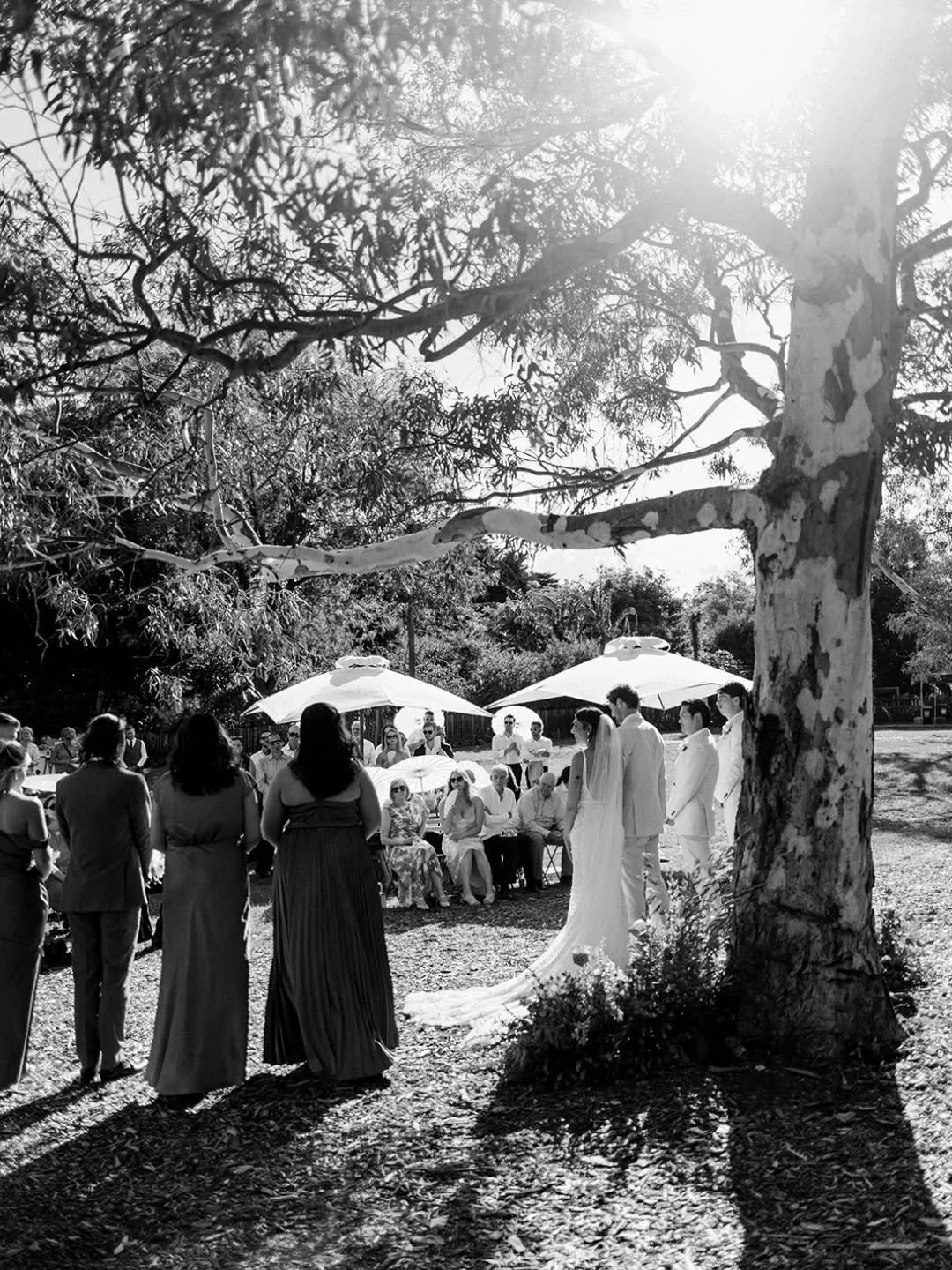 There is a certain kind of magic that happens when you share your vows under the trees with the sunlight streaming through the branches at the Collingwood Children's Farm.
Weddings at the Farm are more than just a day, they&rsquo;re moments suspended