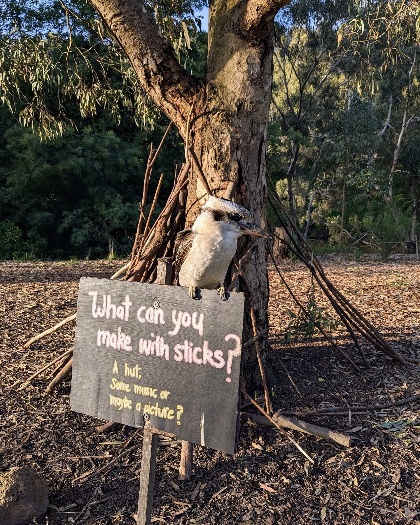 The Farm is home to more than just the farmed animals. We have plenty of curious critters who also reside here and visit seasonally! Can you name all of these creatures in the comments? 🐝🦆🦢

#collingwoodchildrensfarm #urbanfarming #urbanagricultur