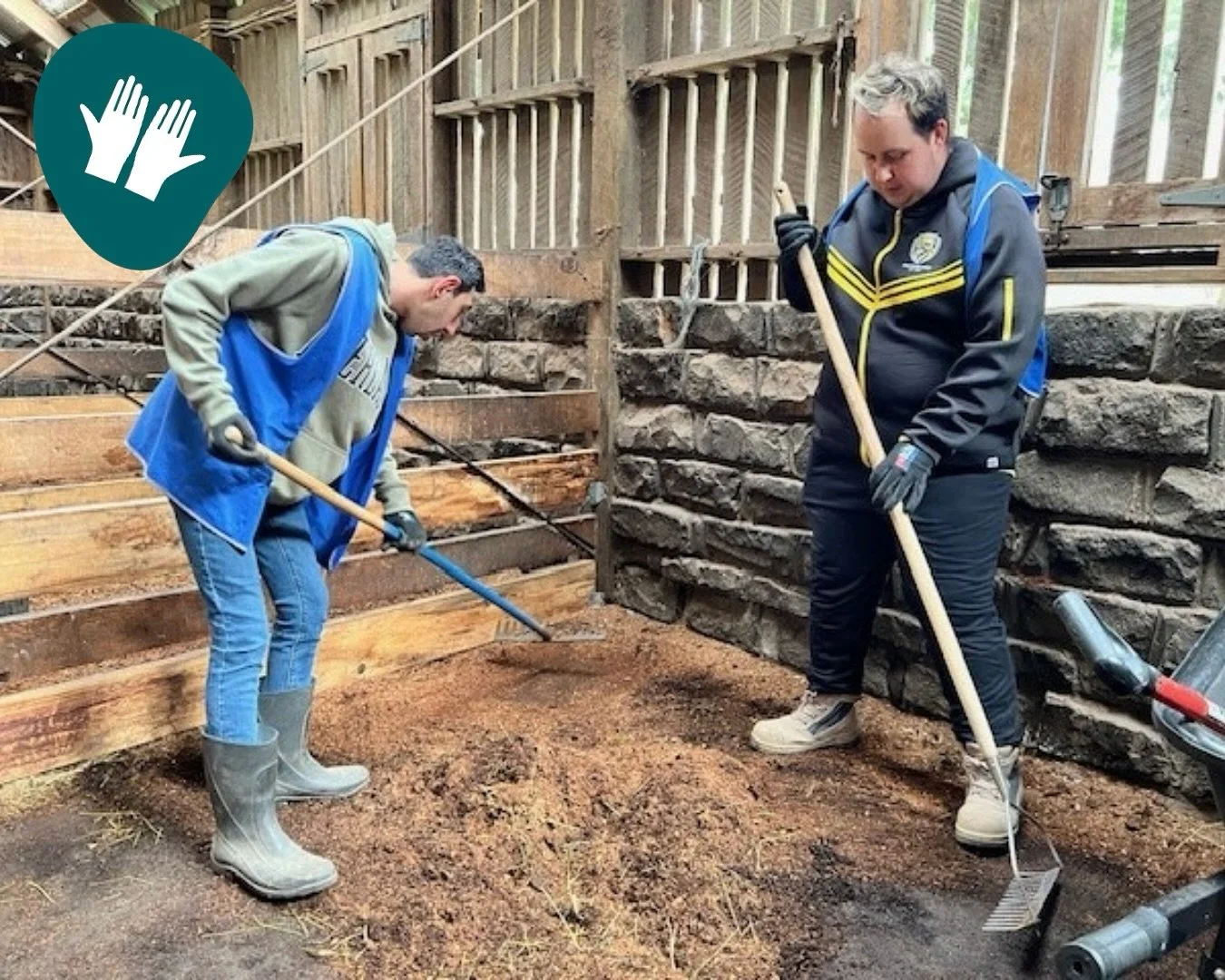 Every week, we are so lucky to have the team from GenU, a disability service provider, come down to volunteer.

Here is a photo of Jason and Adam from GenU cleaning the stables in preparation for some new baby lambs.

Spring has sprung down at Collin