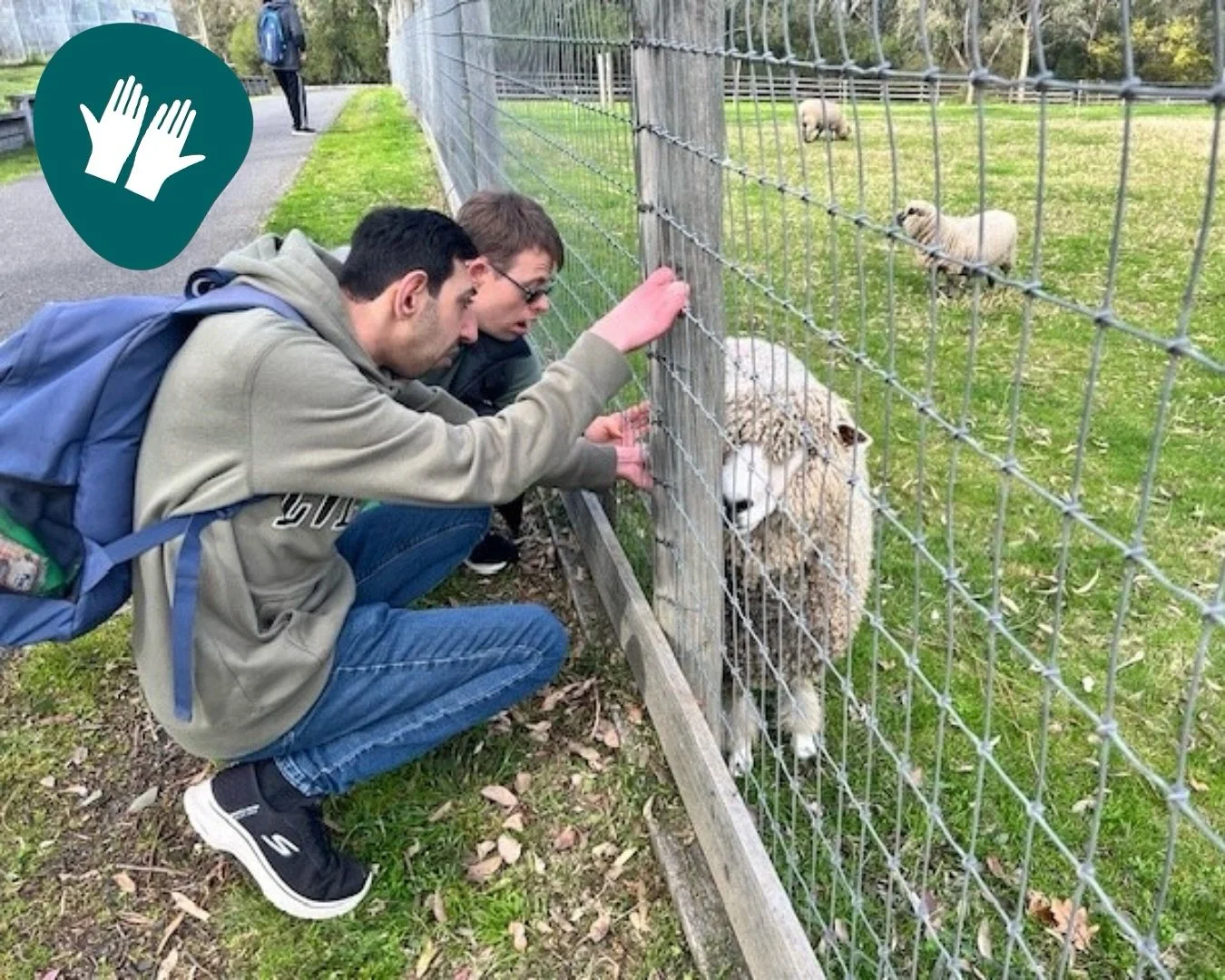 It is a real treat having people with disabilities come down to the Farm to learn and experience everything we have to offer!

Josh and Jason from GenU will take any opportunity to spend time with our sheep and other animals.