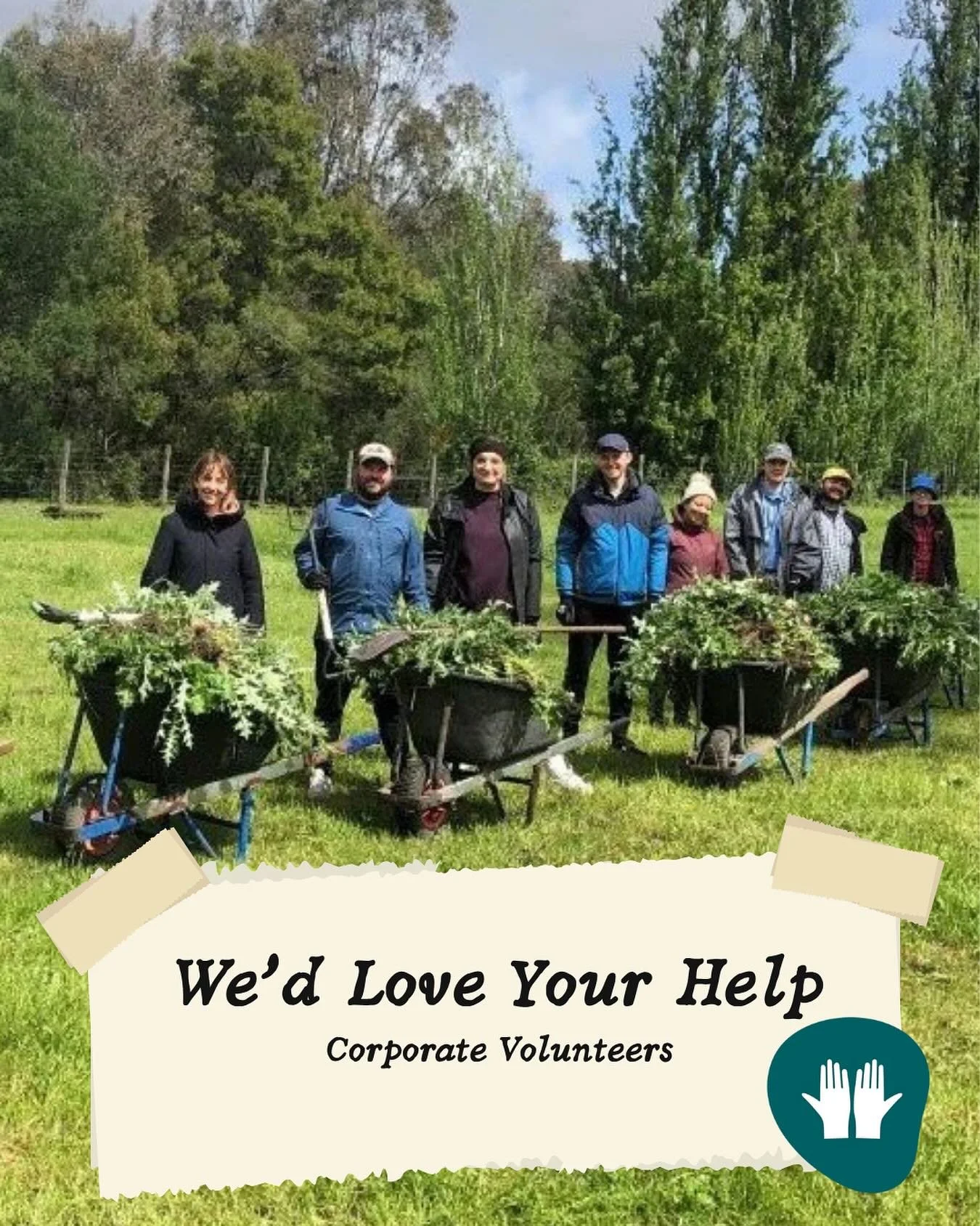 Looking for a team activity that&rsquo;s meaningful, hands-on, and gets you out in the fresh air?
&nbsp;
Our Corporate Volunteer Program offers your group the chance to work together in the outdoors, helping care for our animals, maintain gardens, an
