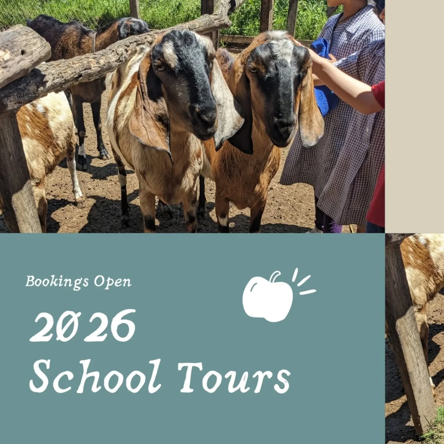 Calling all teachers! The year is flying by and it's time to start planning for 2026! Come and join us for curriculum-linked learning on 10 acres of beautiful farmland right in the heart of Melbourne. Bookings are now open 👩🏻&zwj;🌾🐄🚜🐑 #schoolex