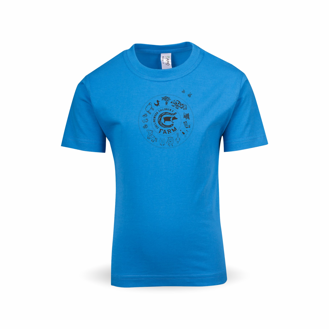 13505 Collingwood Children's Farm - Kids Regular Tee_Style 2_Azure.png