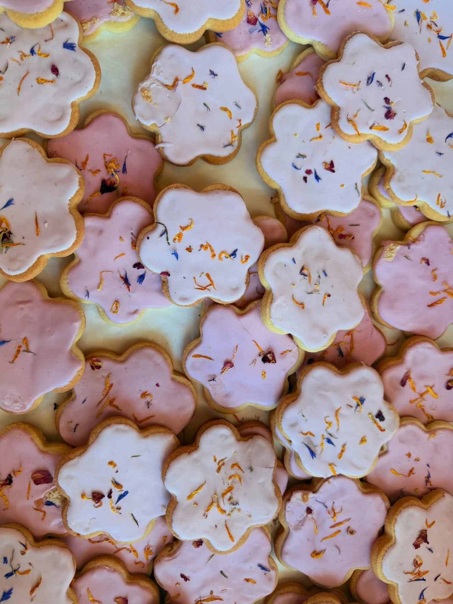 SPRING FORTH! Happy Easter weekend slash Zombie Jesus slash pagan celebration of spring, fresh blooms, baby animals, and of course these sugar flowers. Celebrate the day by adopting a new dog, maybe? Our shelters are packed! 
.
.
.
.
.
.
#springbreak