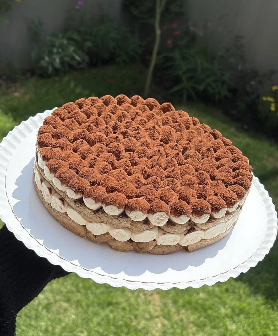 Pastel Tiramisú