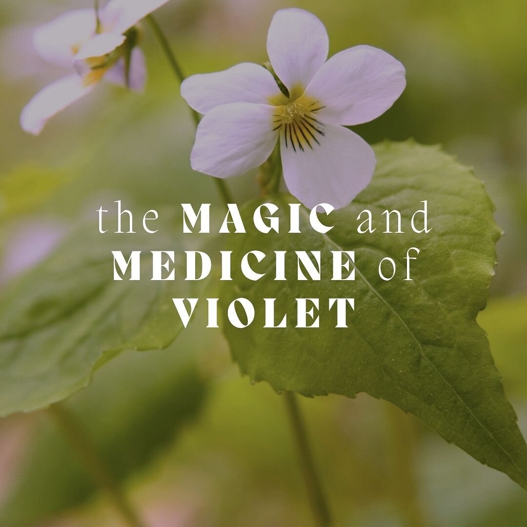 Violets! They smell nice! They look pretty! They soothe your guts! They coat your throat! They heal your wounds! They&rsquo;re a flower and a colour! Violets!! 

Get your dose of wildcrafted violet magic as a single, in a custom blend, or with the mo