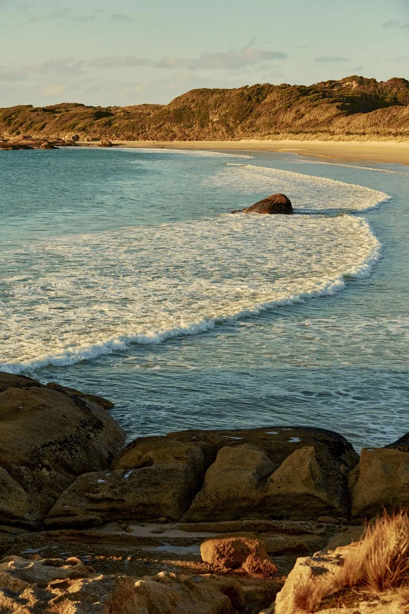 Three Hummock Island - Casey Horsfield_10 of 31.jpg