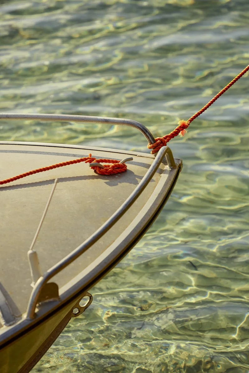 Three Hummock Island - Casey Horsfield_14 of 31.jpg