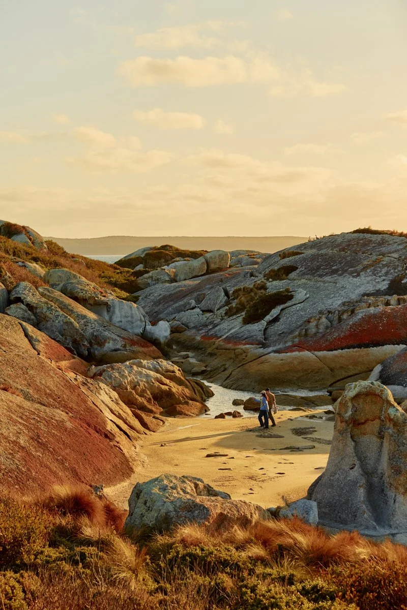 Three Hummock Island - Casey Horsfield_08 of 31.jpg