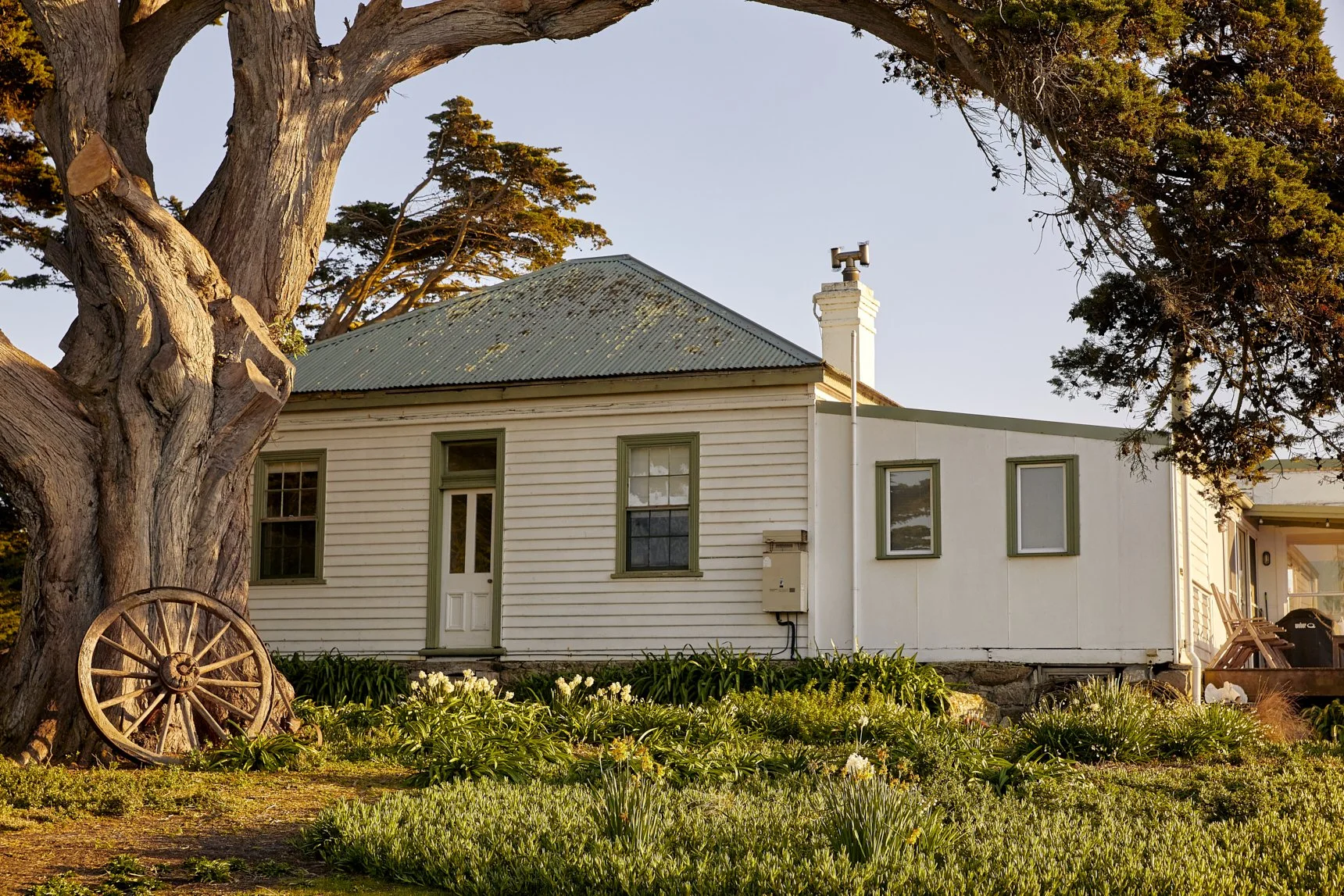 Three Hummock Island - Casey Horsfield_22 of 31.jpg