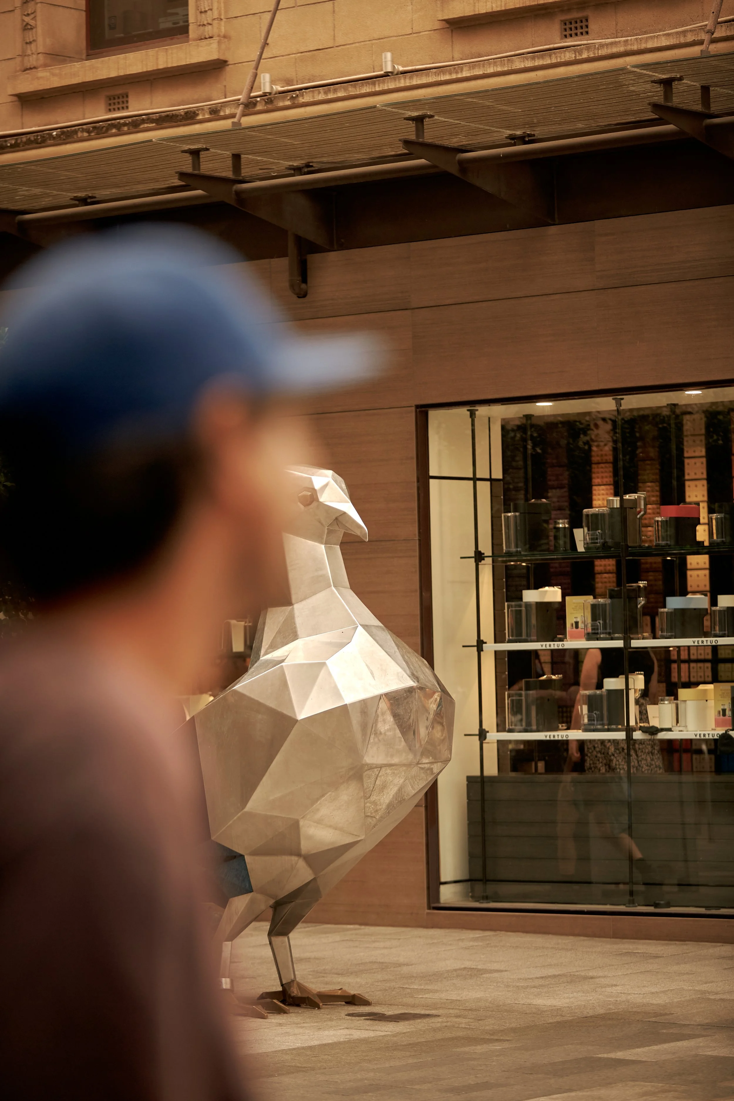 FORTIS AD01 HUTT ST©CaseyHorsfieldPhotographer2026__Y1A2749.jpg