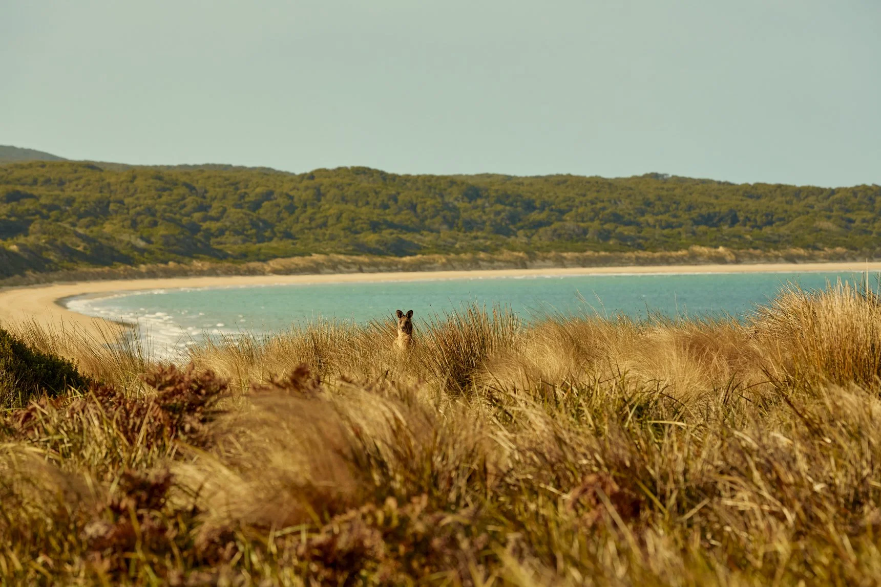 Three Hummock Island - Casey Horsfield_03 of 31.jpg