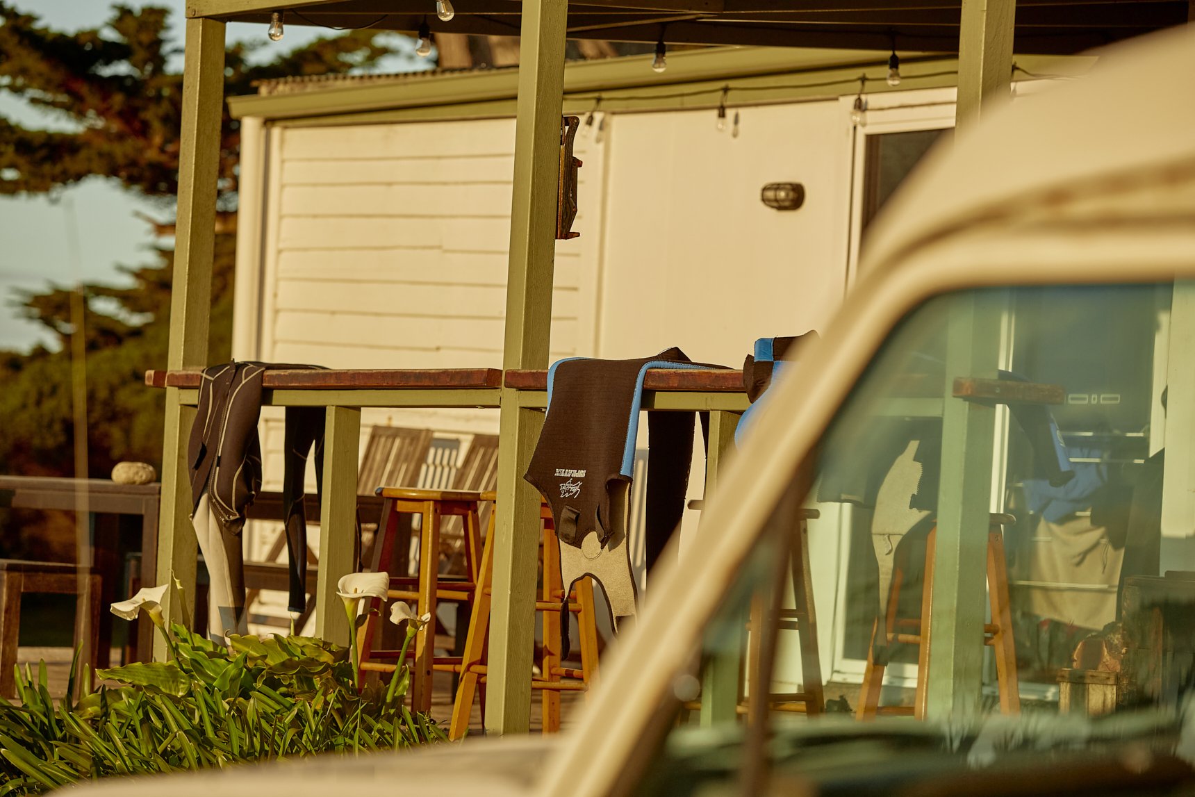 Three Hummock Island - Casey Horsfield_12 of 31.jpg