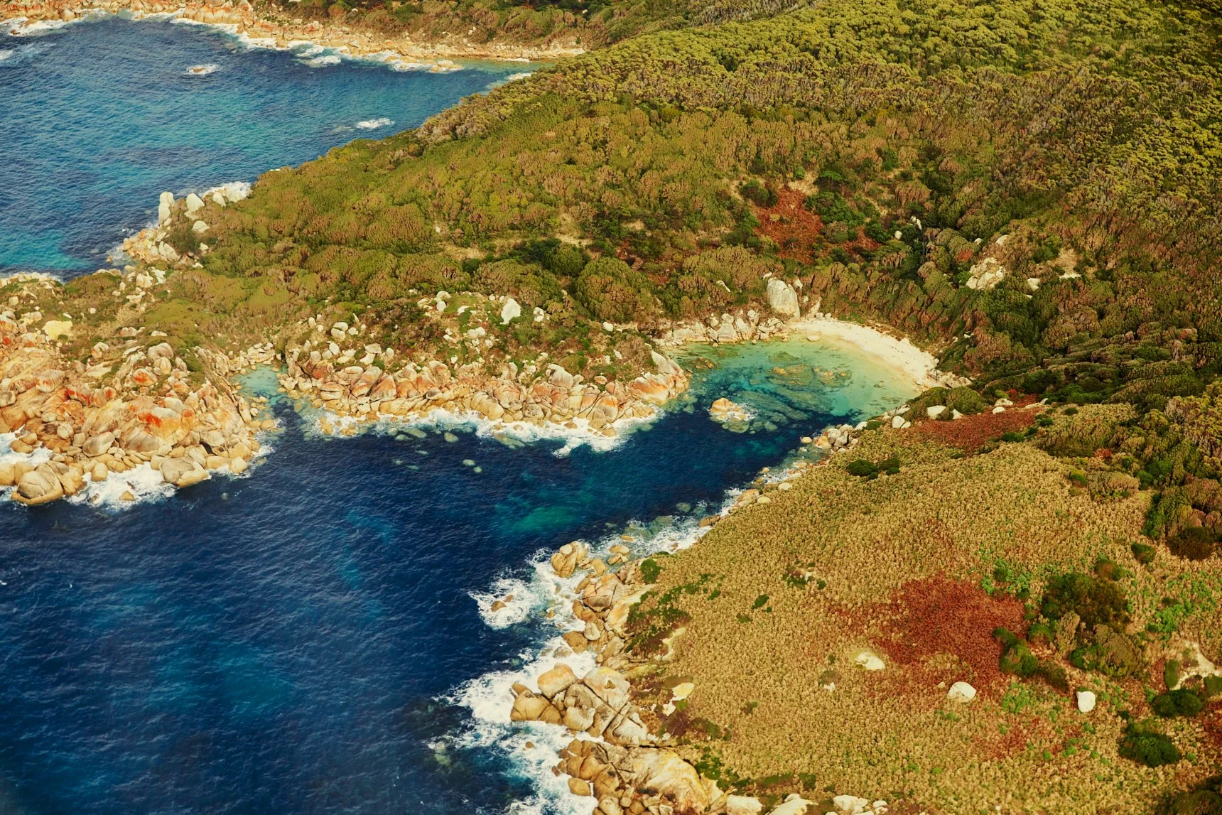 Three Hummock Island - Casey Horsfield_30 of 31.jpg