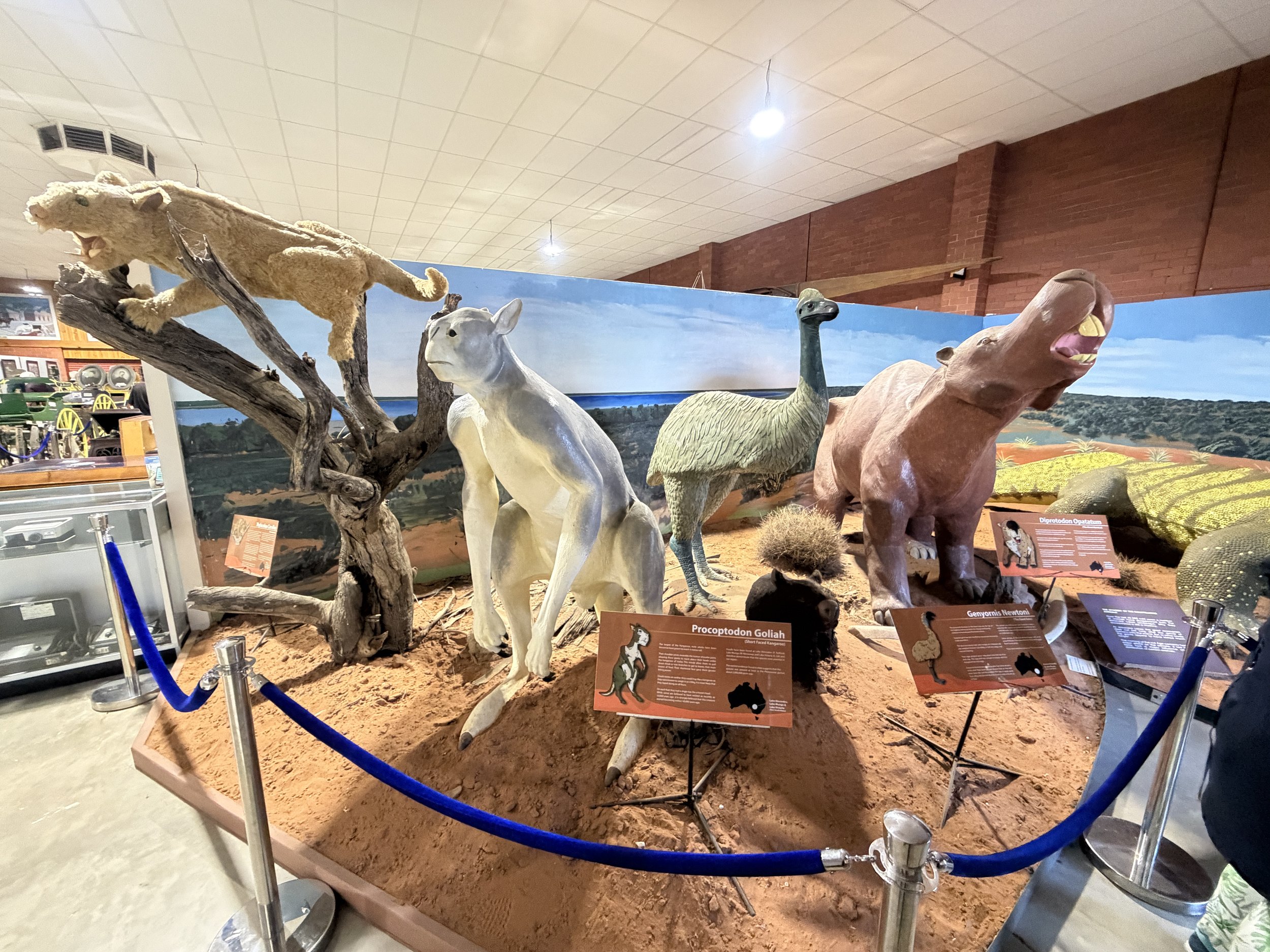 Mildura_BH_Mungo_May26 (23).JPG