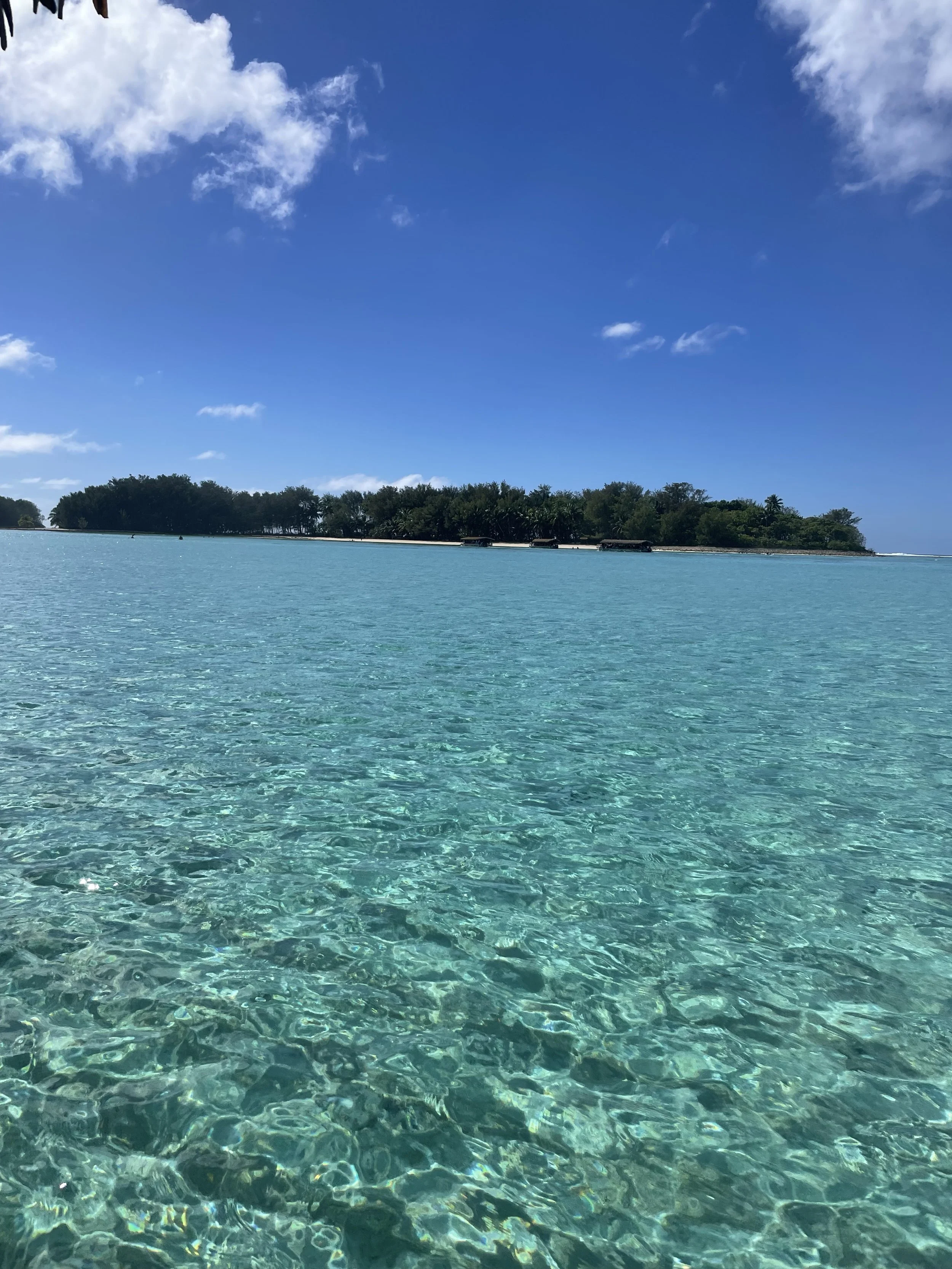 Cook Islands July 2025 (21).jpg